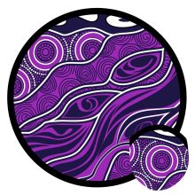 Custom NAIDOC Folding Frisbee